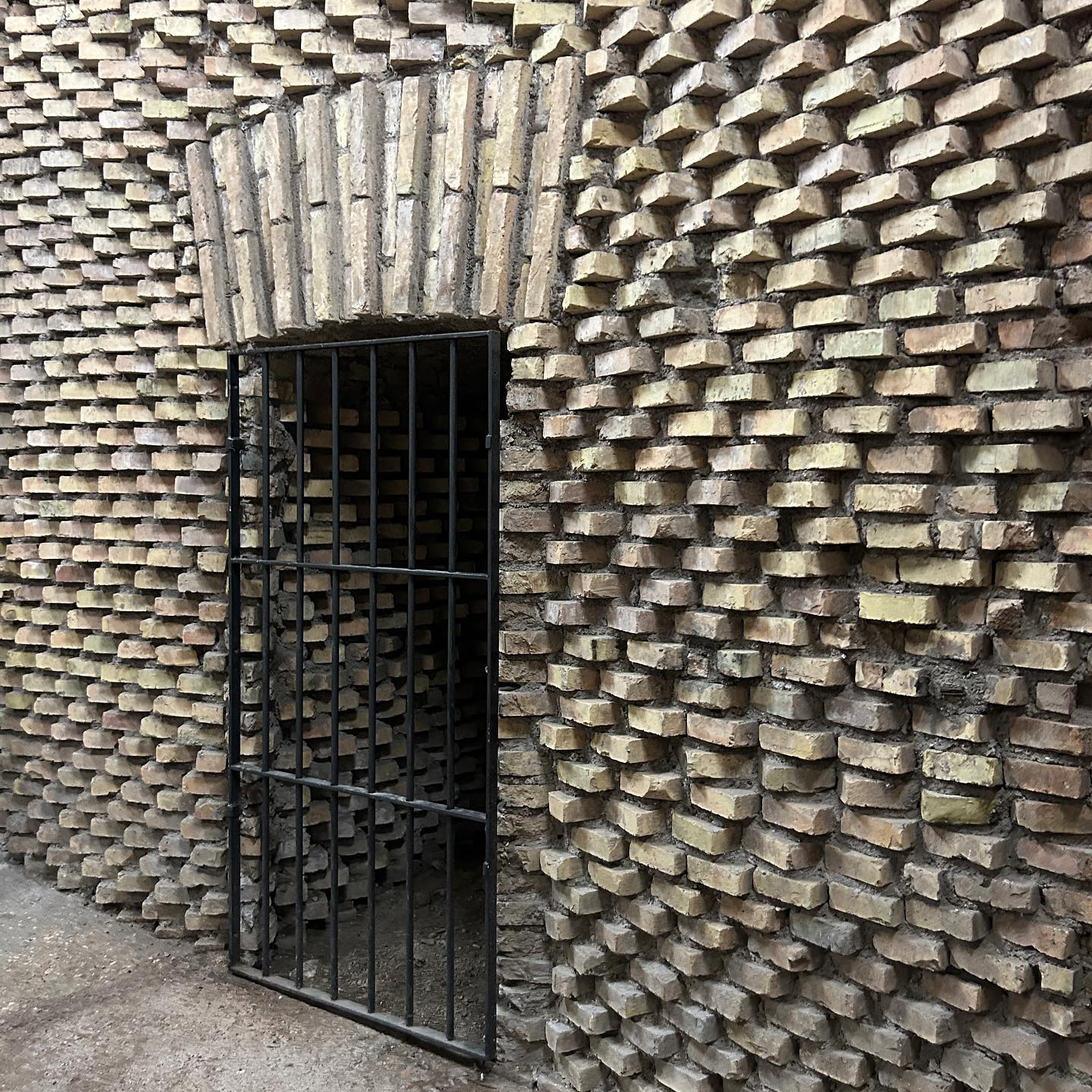 elsgatti instagram image archive image