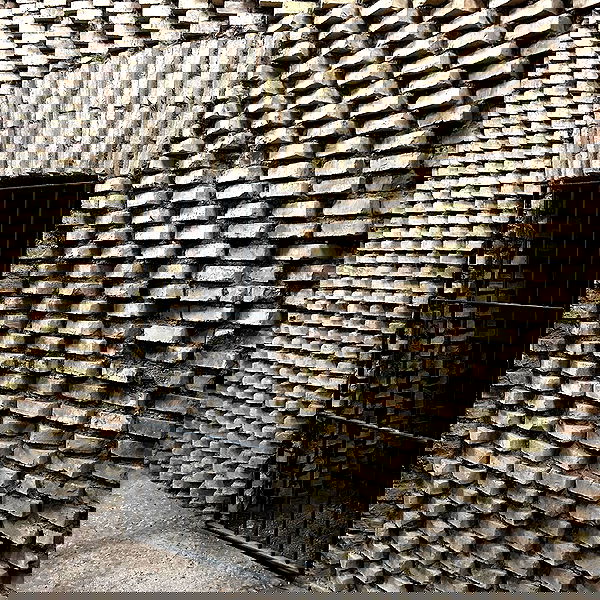 elsgatti image ~ Altpins