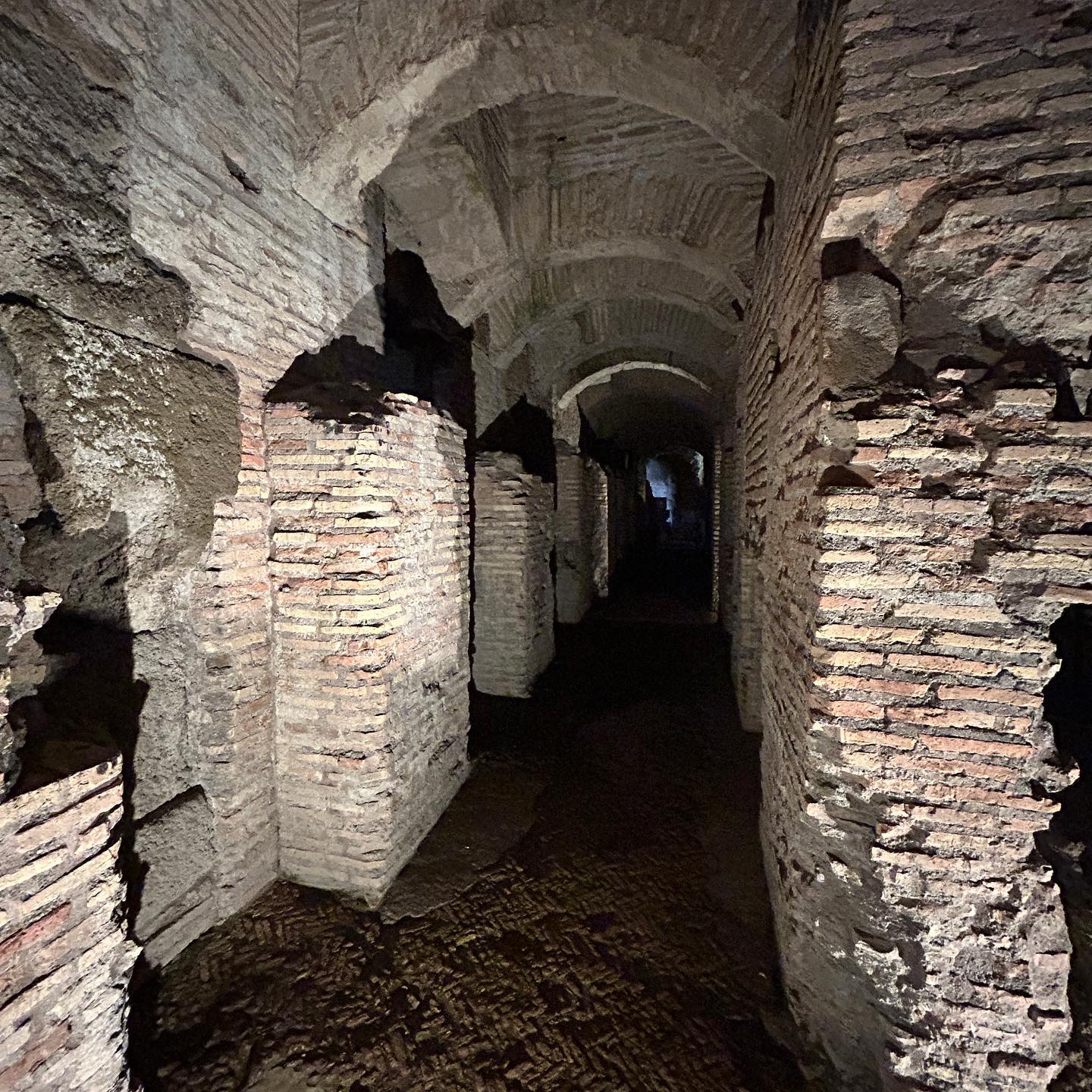 elsgatti instagram image archive image