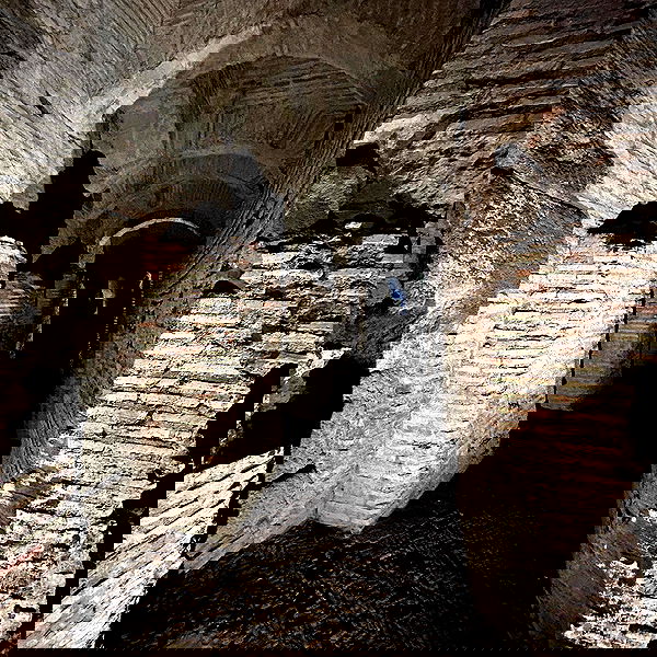 elsgatti image ~ Altpins