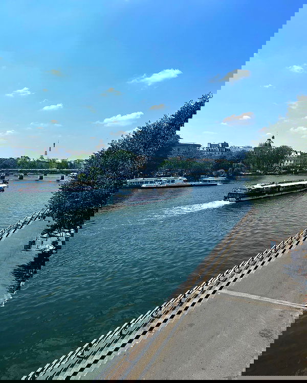 elsgatti image ~ Altpins