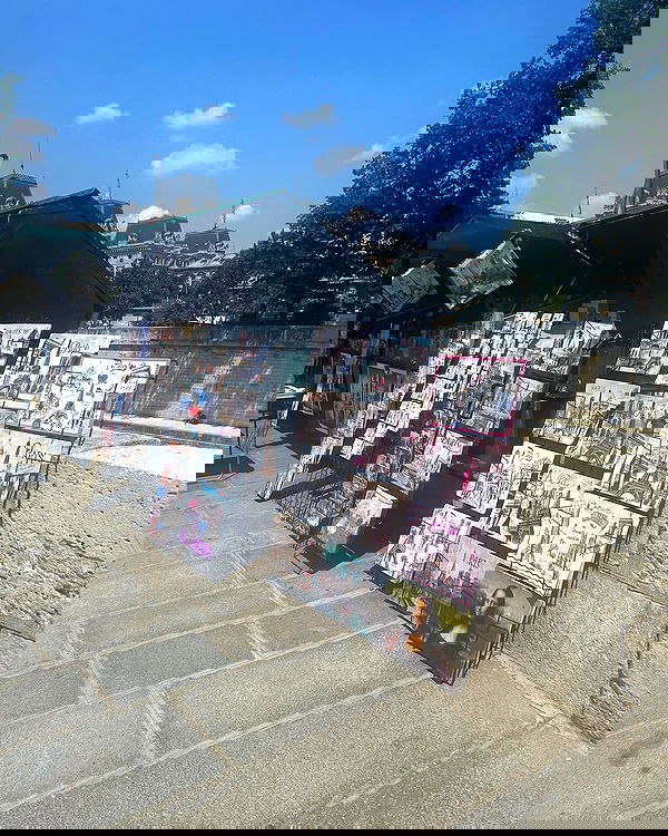 elsgatti image ~ Altpins