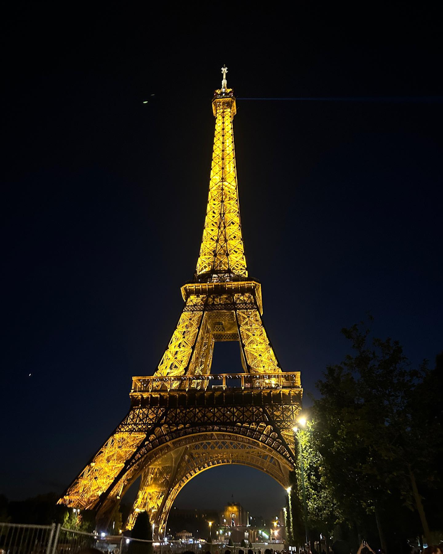 elsgatti instagram image archive image