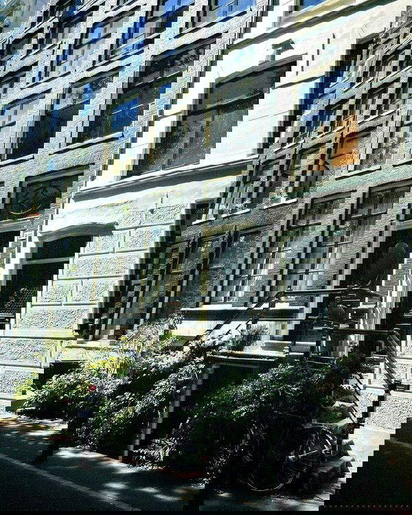 elsgatti image ~ Altpins