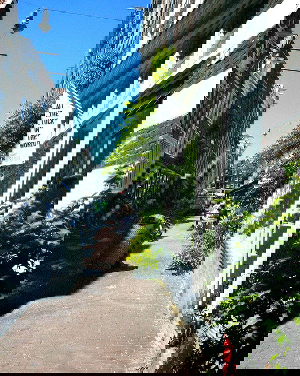 elsgatti image ~ Altpins