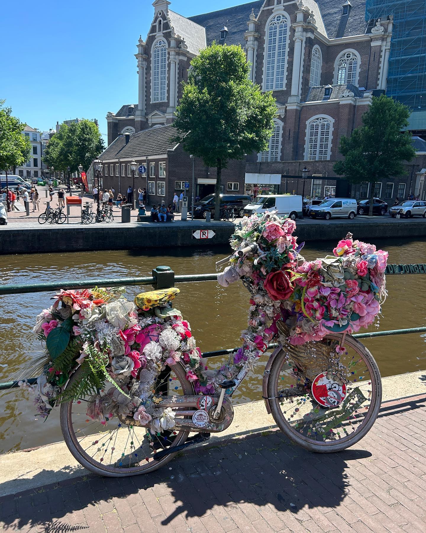 elsgatti instagram image archive image