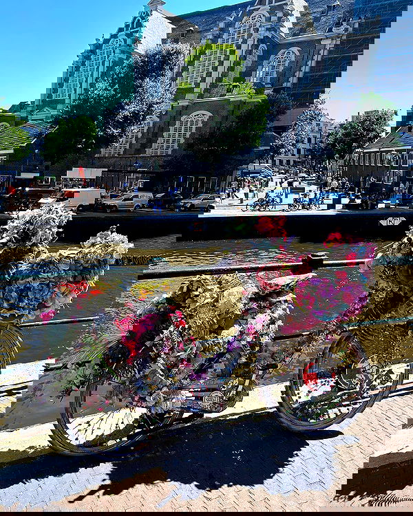 elsgatti image ~ Altpins