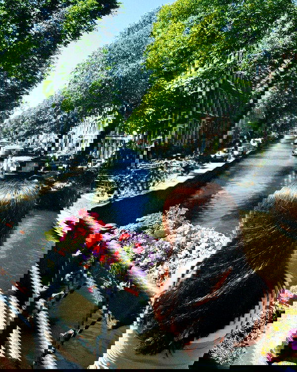 elsgatti image ~ Altpins