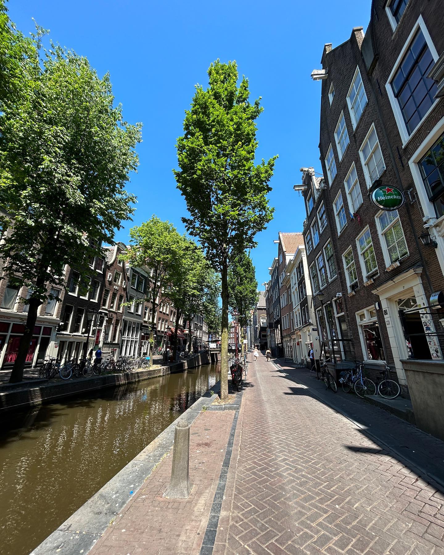 elsgatti instagram image archive image