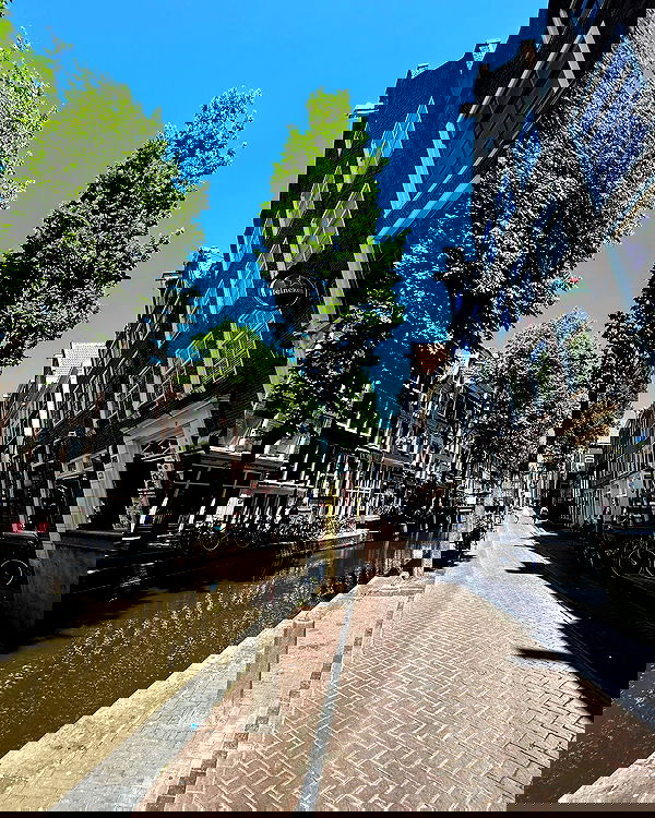 elsgatti image ~ Altpins