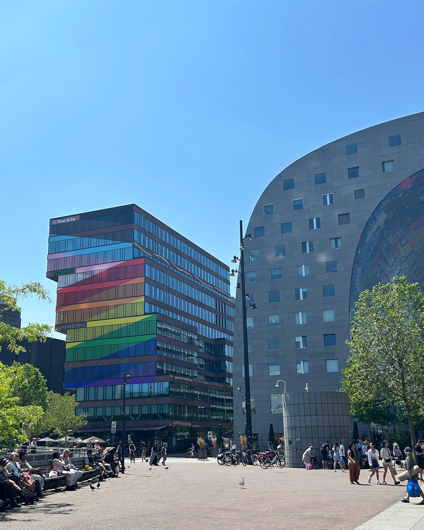 elsgatti instagram image archive image