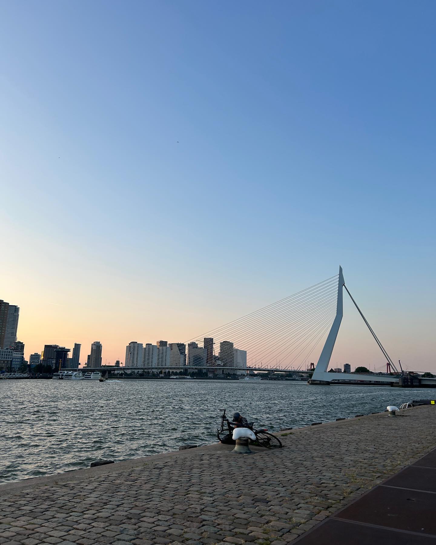 elsgatti instagram image archive image