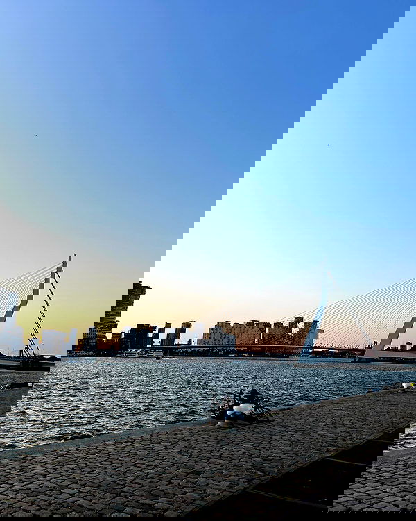 elsgatti image ~ Altpins