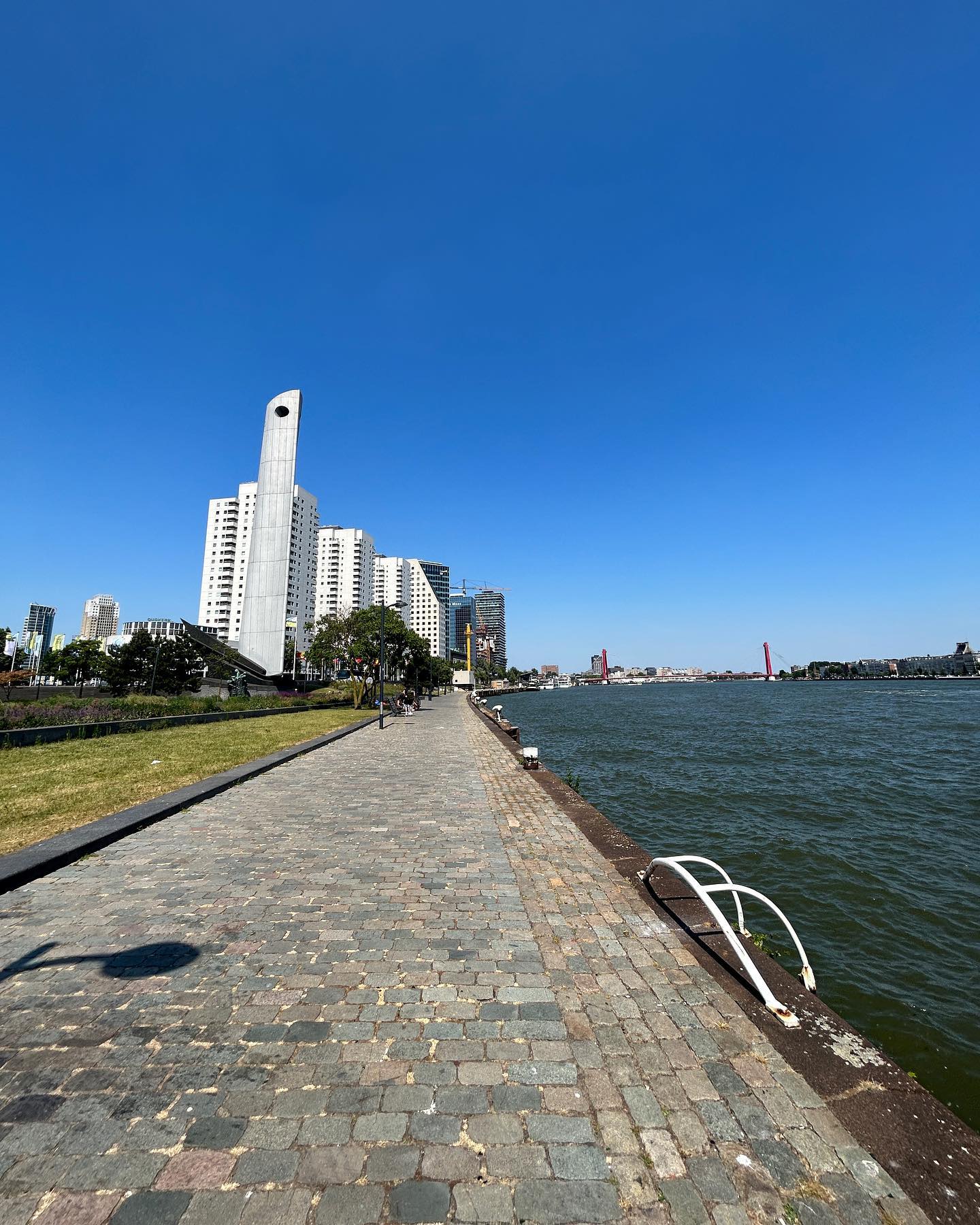 elsgatti instagram image archive image