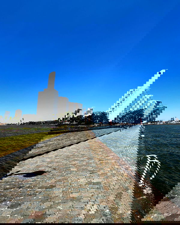 elsgatti image ~ Altpins