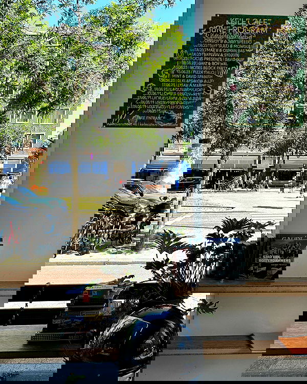 elsgatti image ~ Altpins