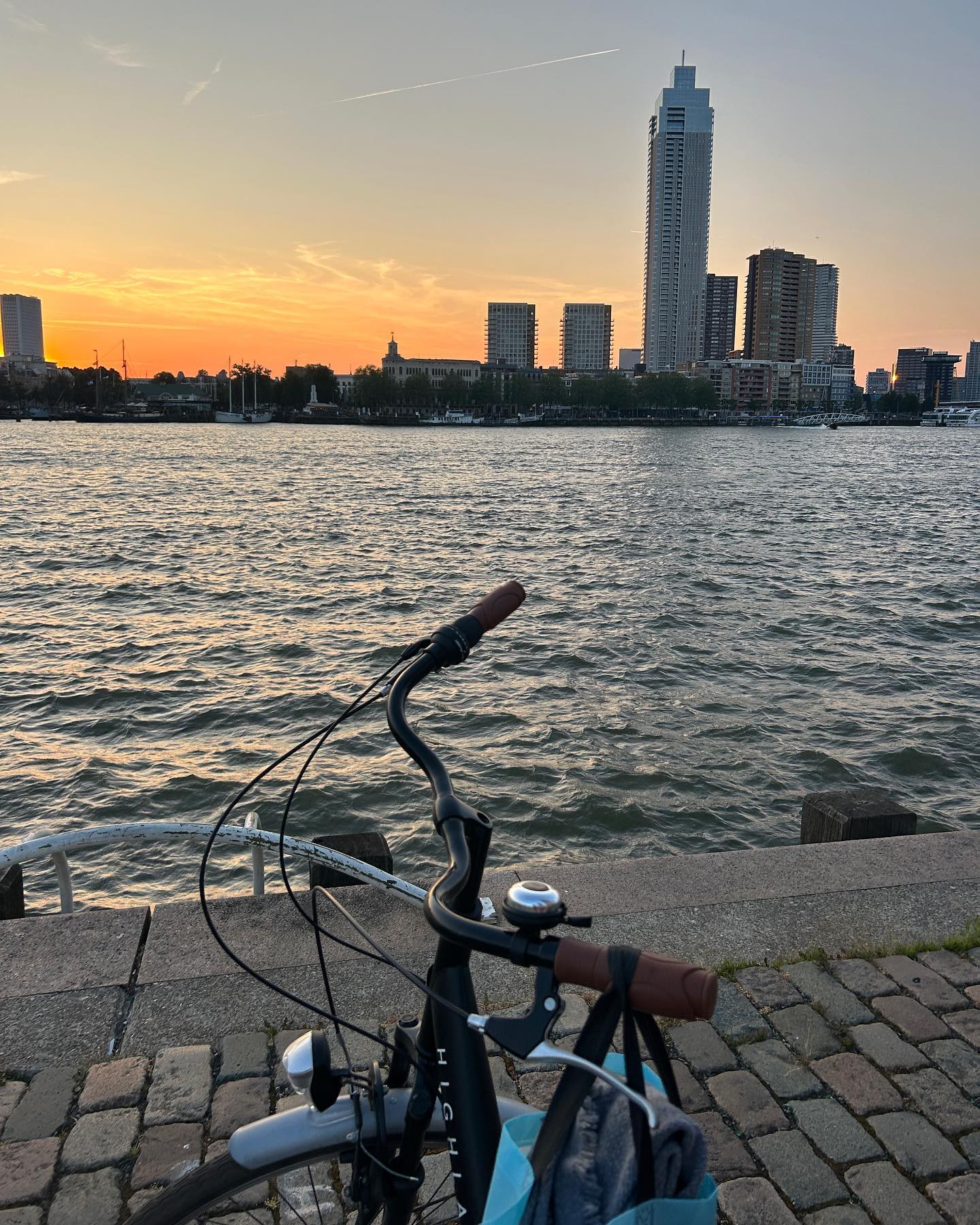 elsgatti instagram image archive image