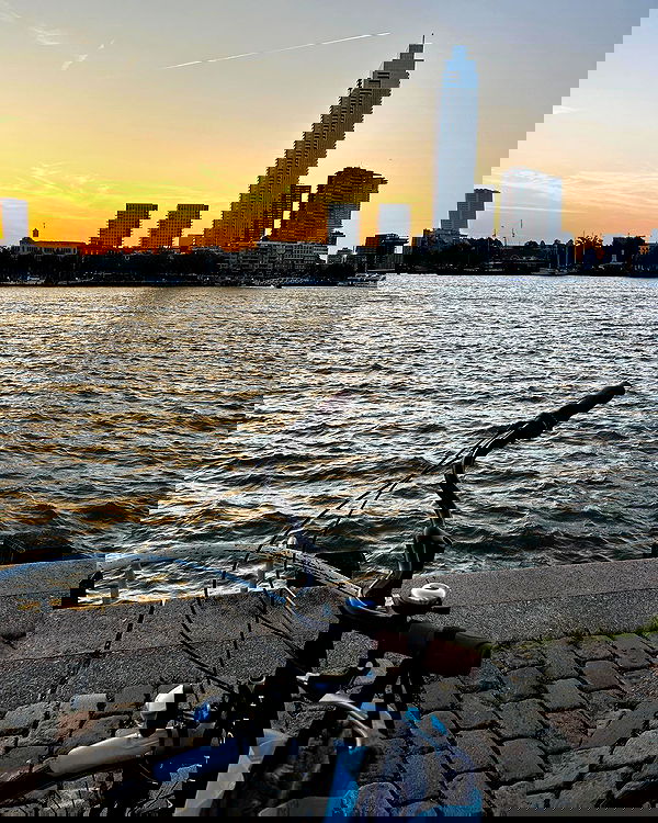 elsgatti image ~ Altpins