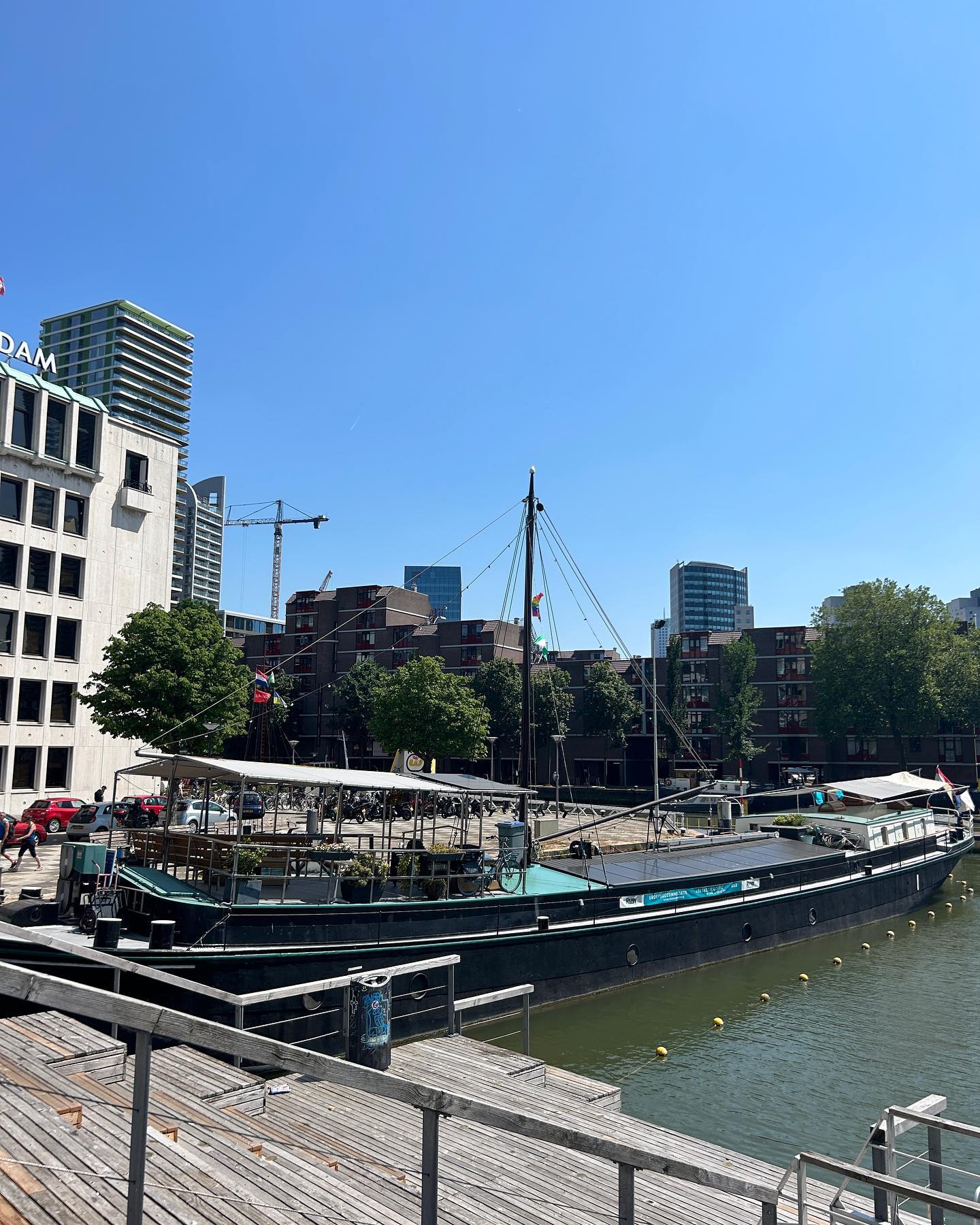 elsgatti instagram image archive image