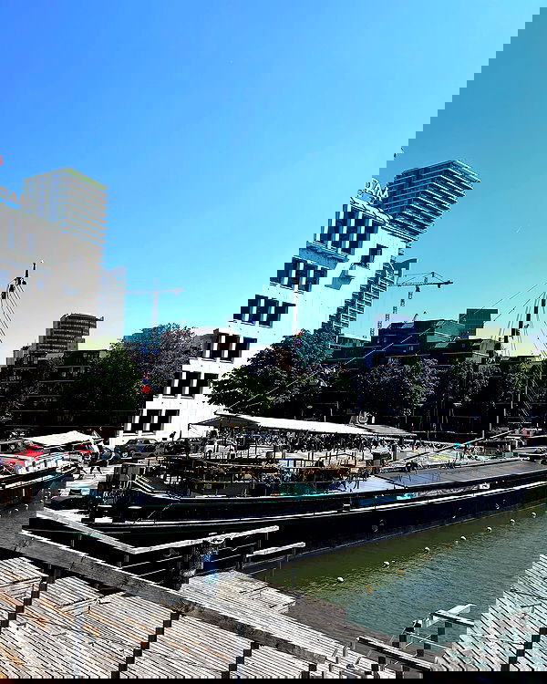 elsgatti image ~ Altpins