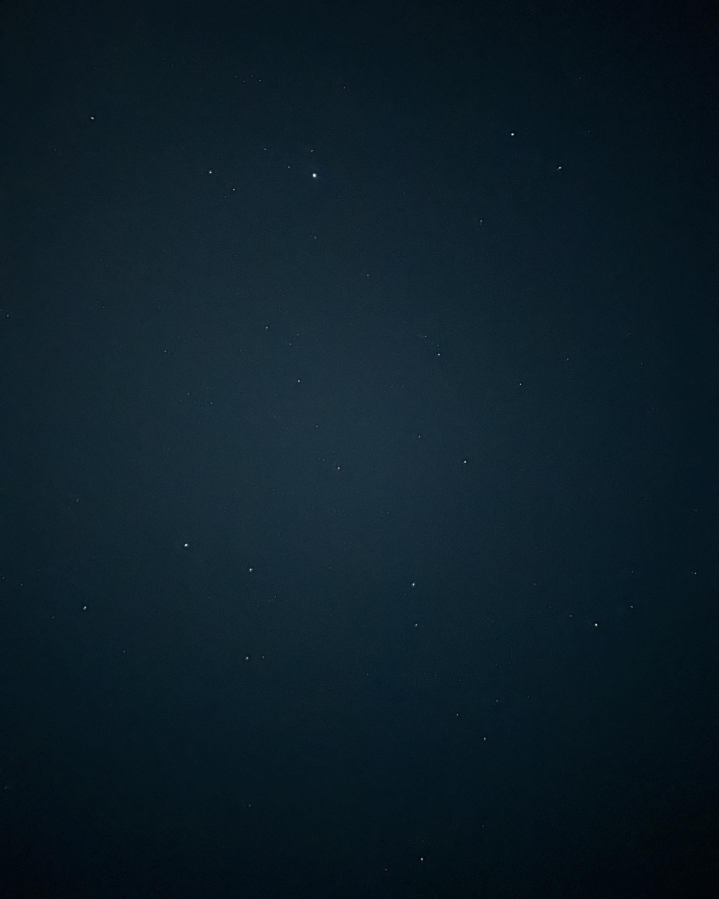 elsgatti instagram image archive image