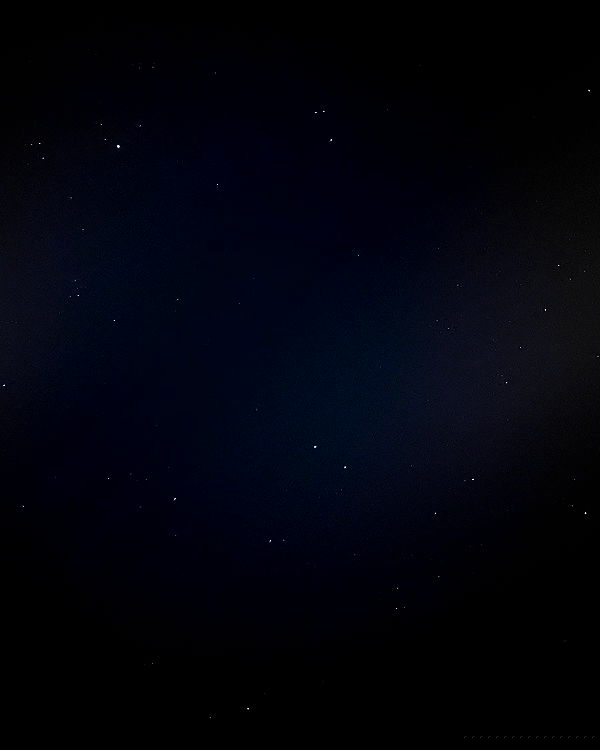 elsgatti image ~ Altpins