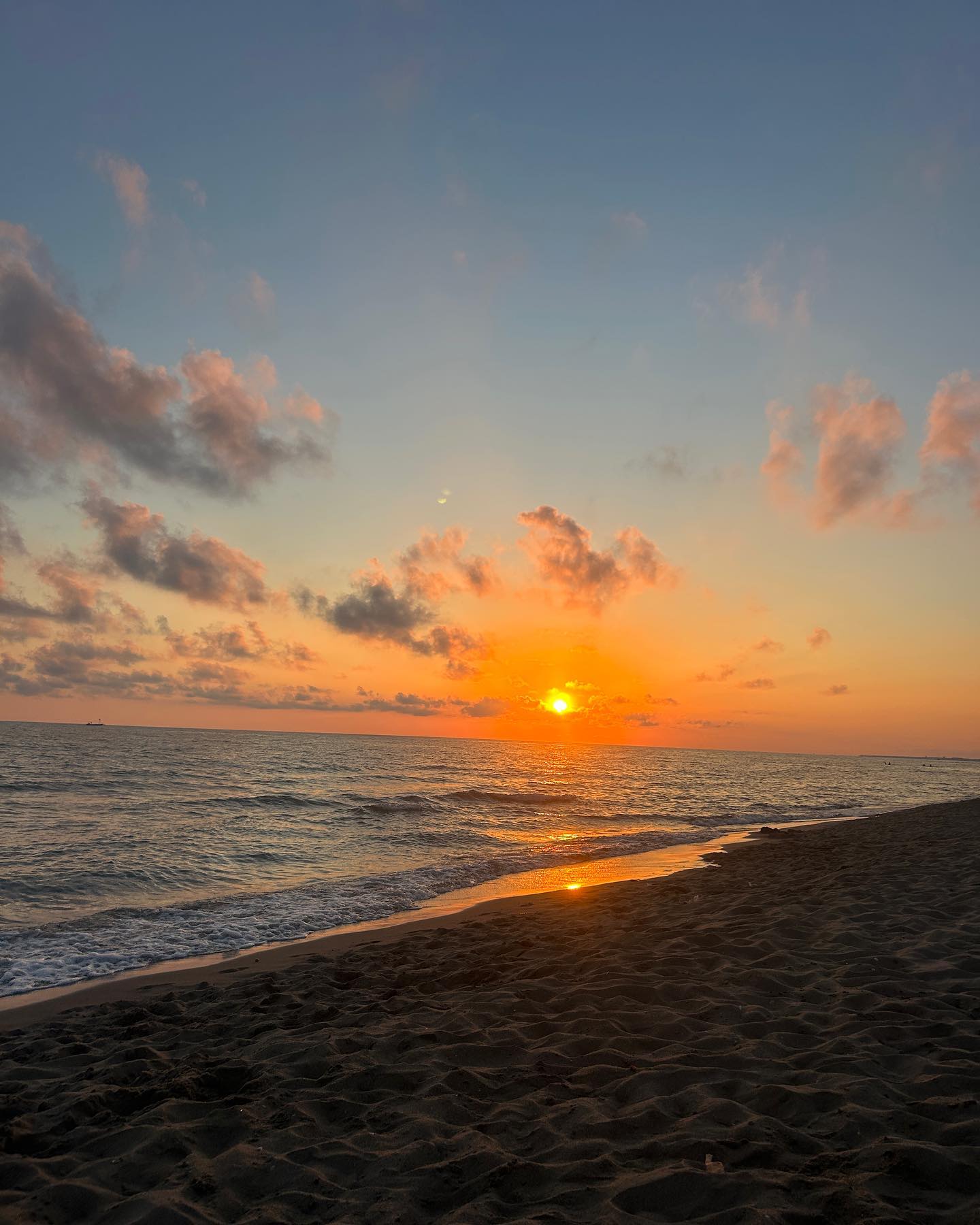 elsgatti instagram image archive image