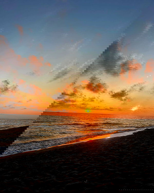 elsgatti image ~ Altpins