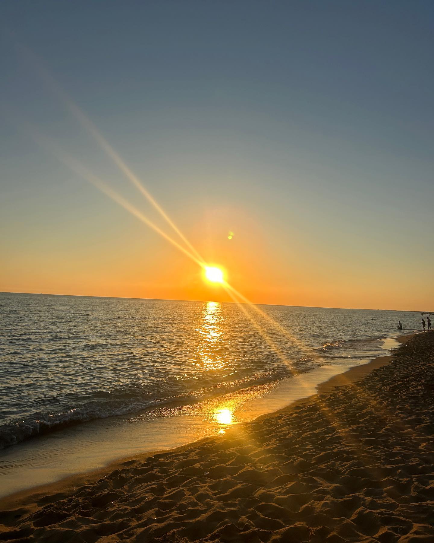 elsgatti instagram image archive image