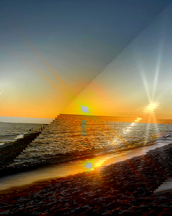 elsgatti image ~ Altpins