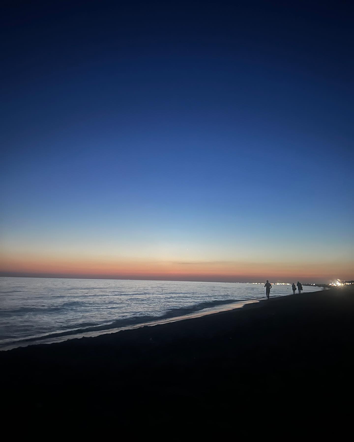 elsgatti instagram image archive image