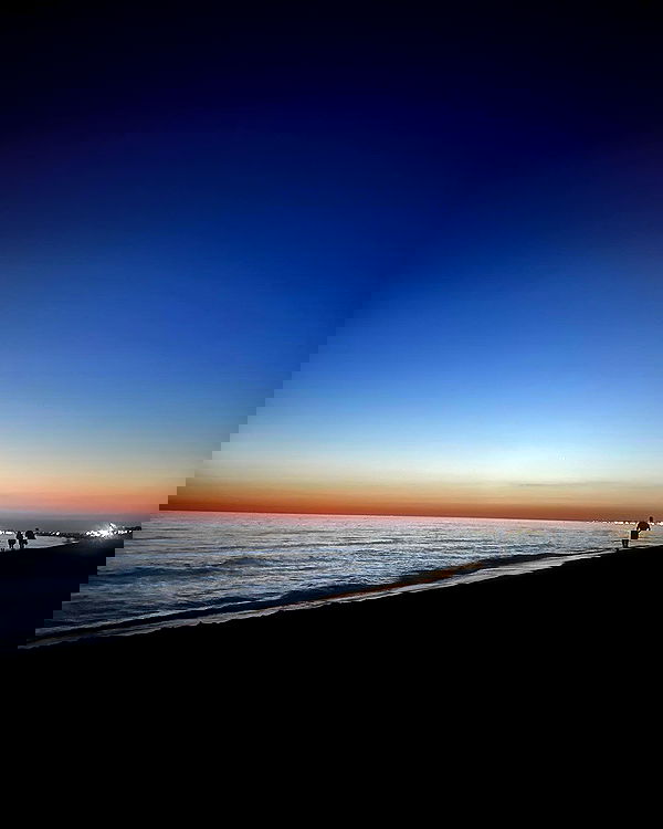 elsgatti image ~ Altpins