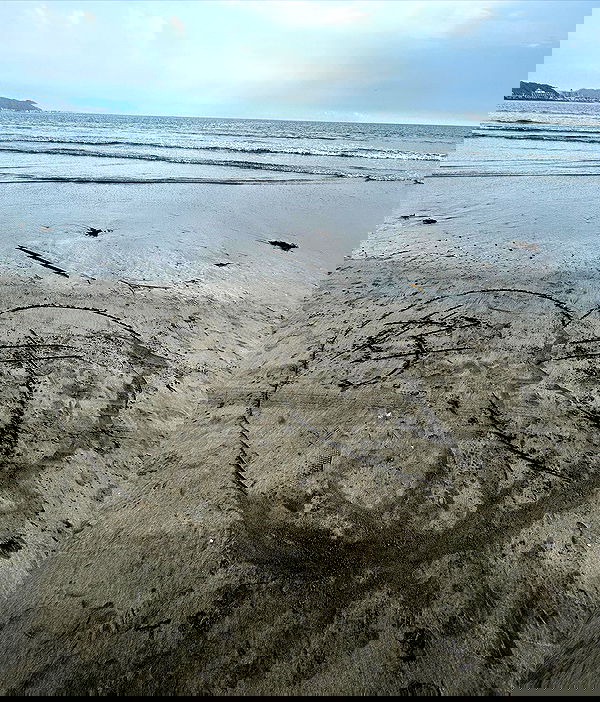 elsgatti image ~ Altpins