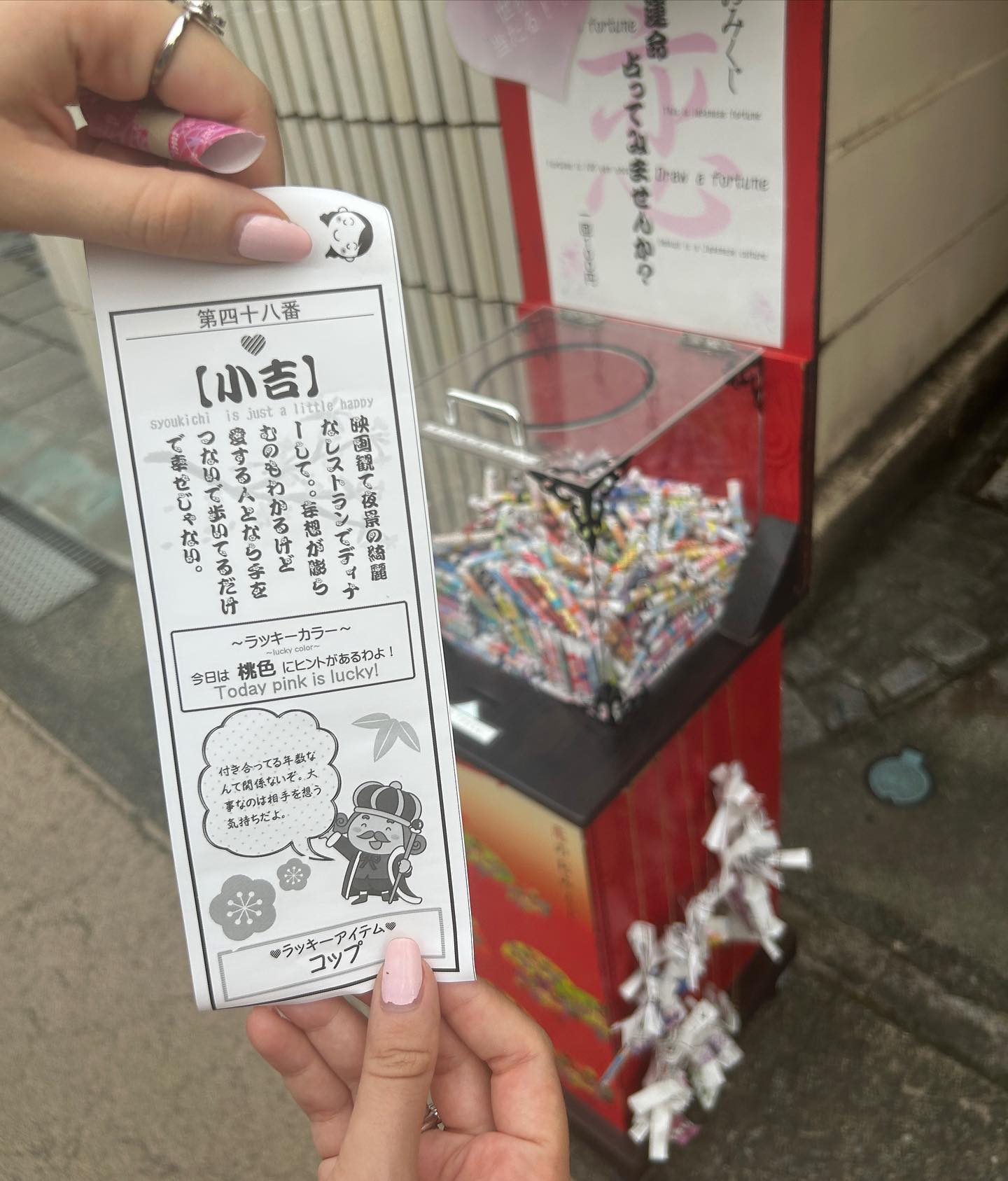 elsgatti instagram image archive image