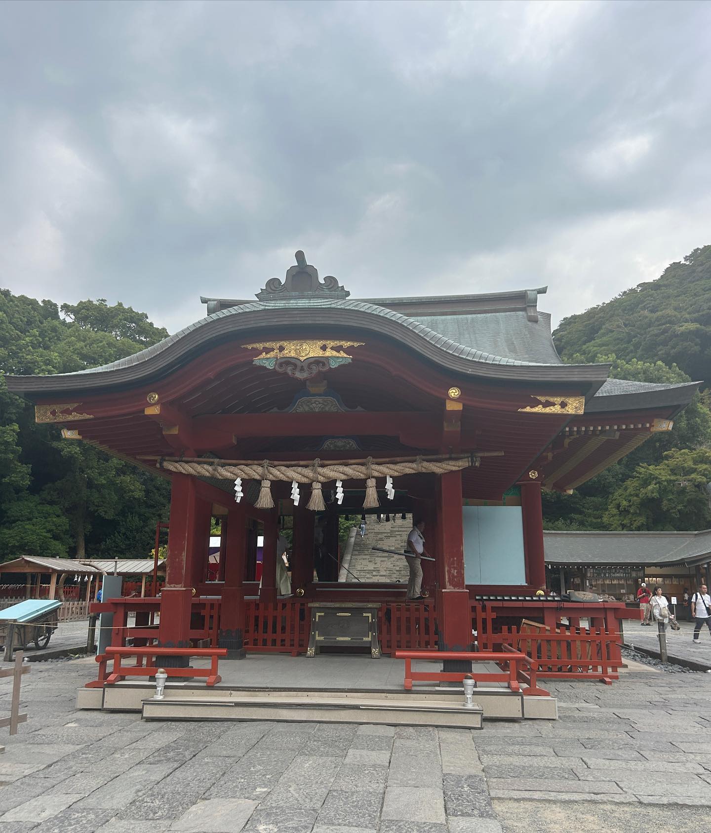 elsgatti instagram image archive image