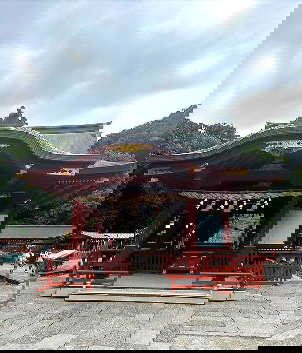 elsgatti image ~ Altpins