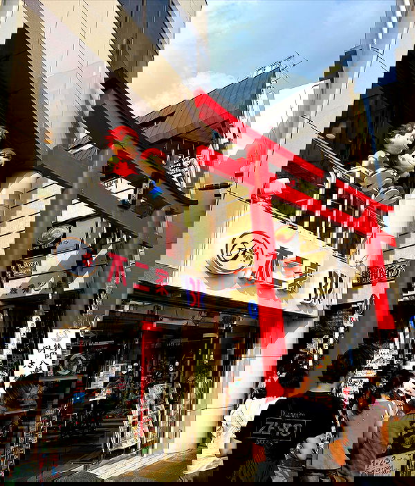 elsgatti image ~ Altpins