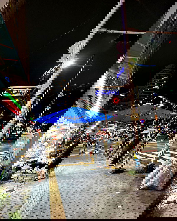 elsgatti image ~ Altpins