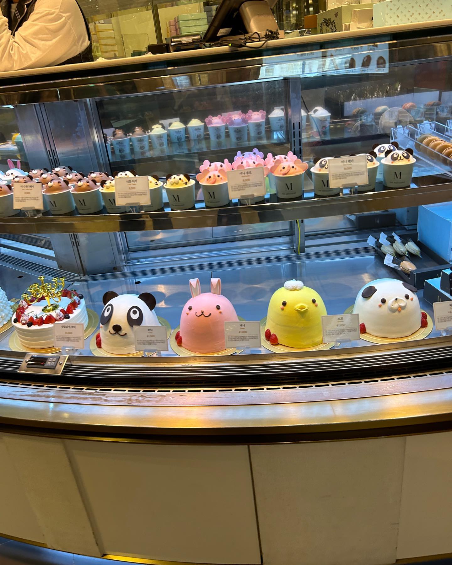 elsgatti instagram image archive image