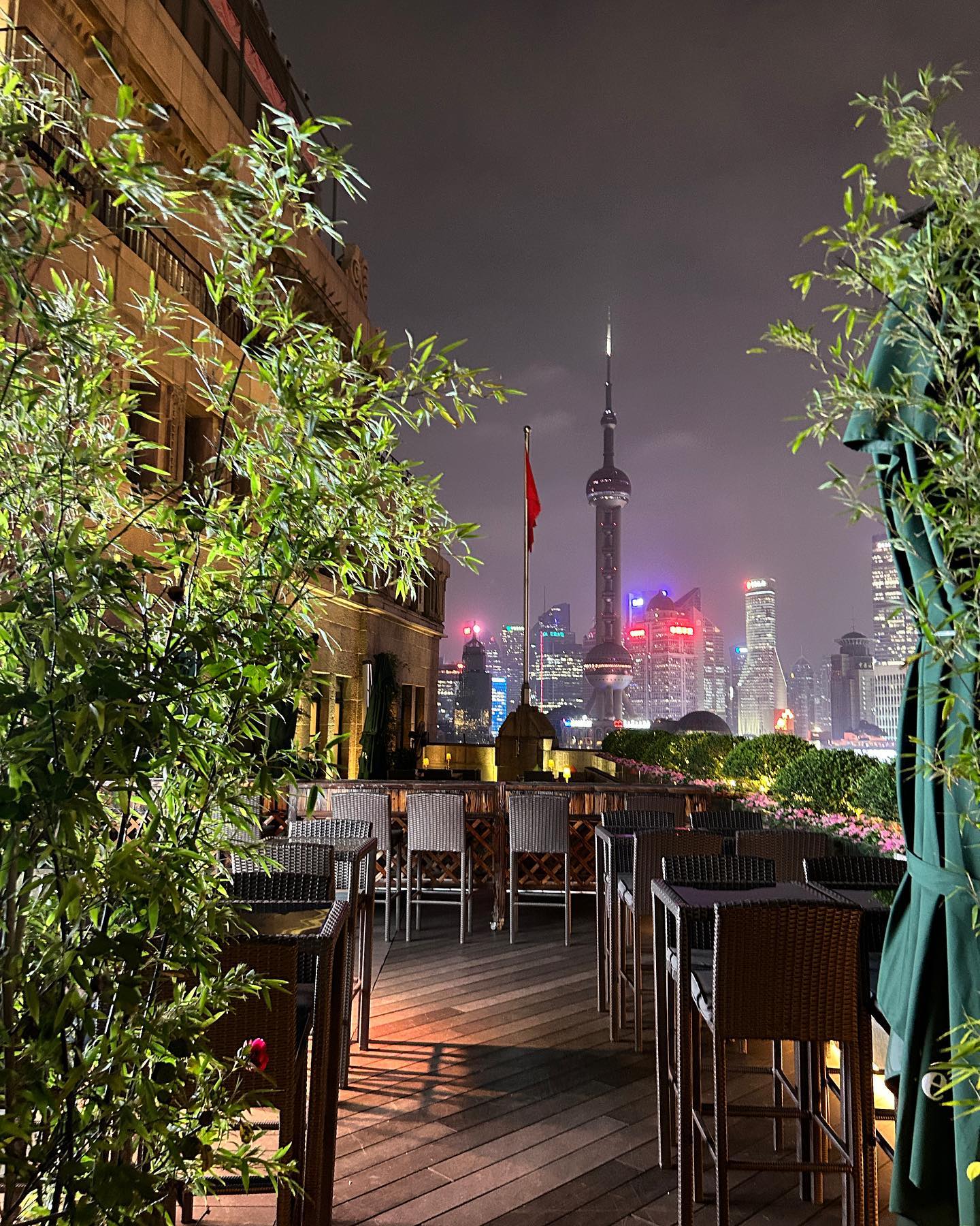 elsgatti instagram image archive image