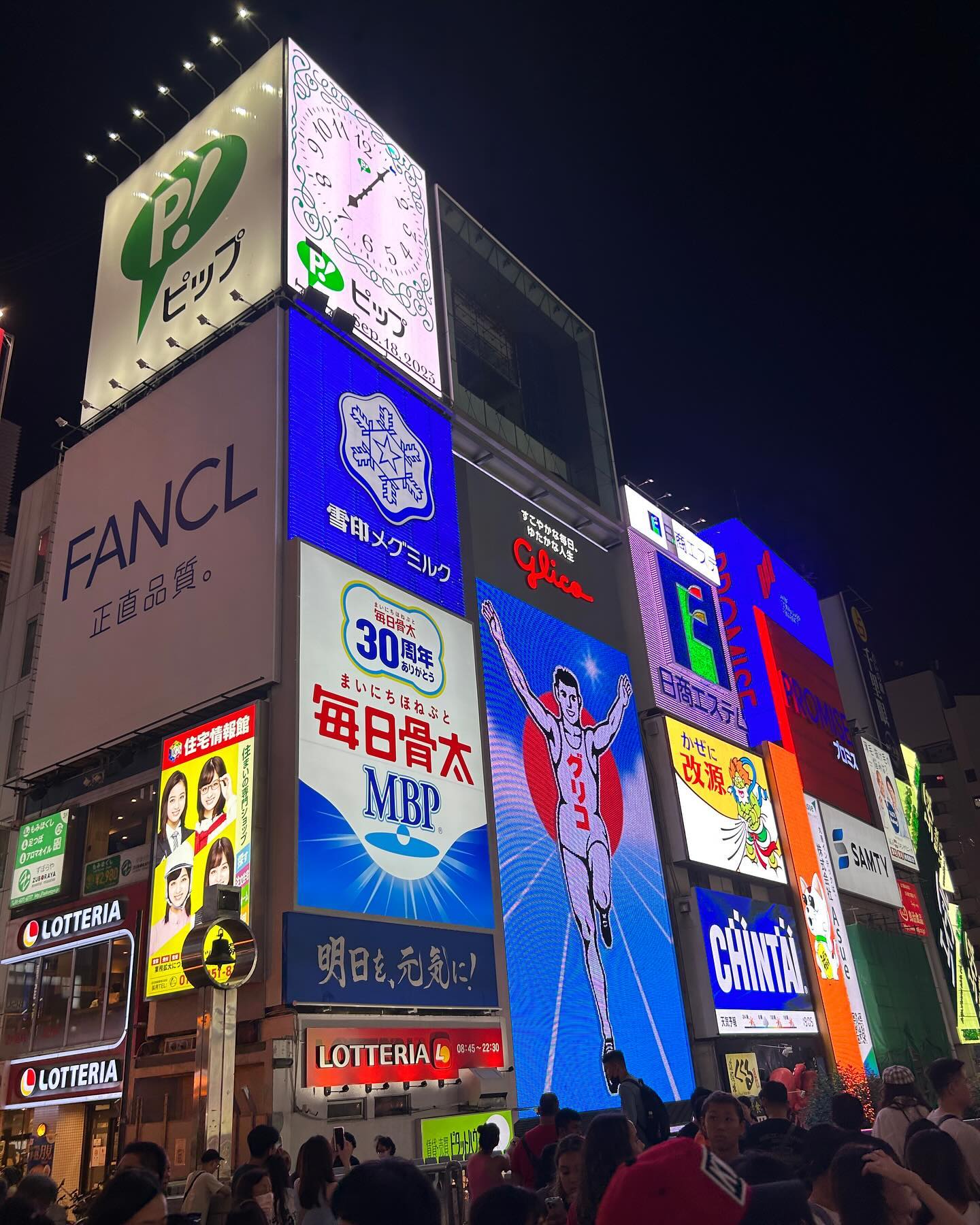 elsgatti instagram image archive image