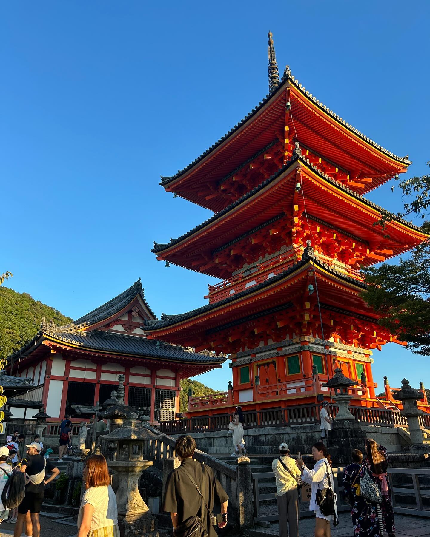 elsgatti instagram image archive image