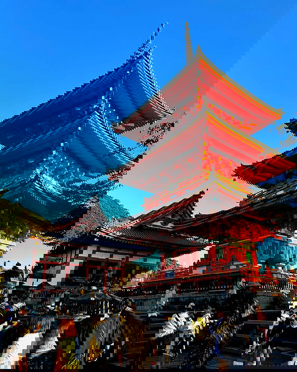 elsgatti image ~ Altpins