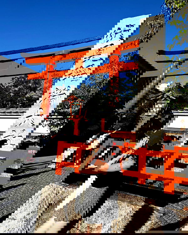 elsgatti image ~ Altpins