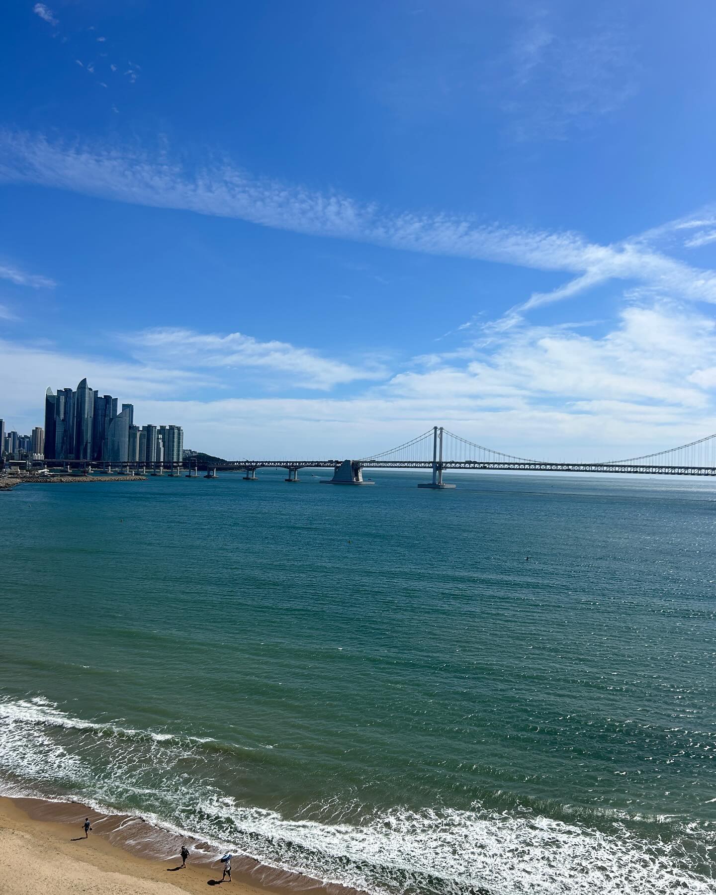 elsgatti instagram image archive image