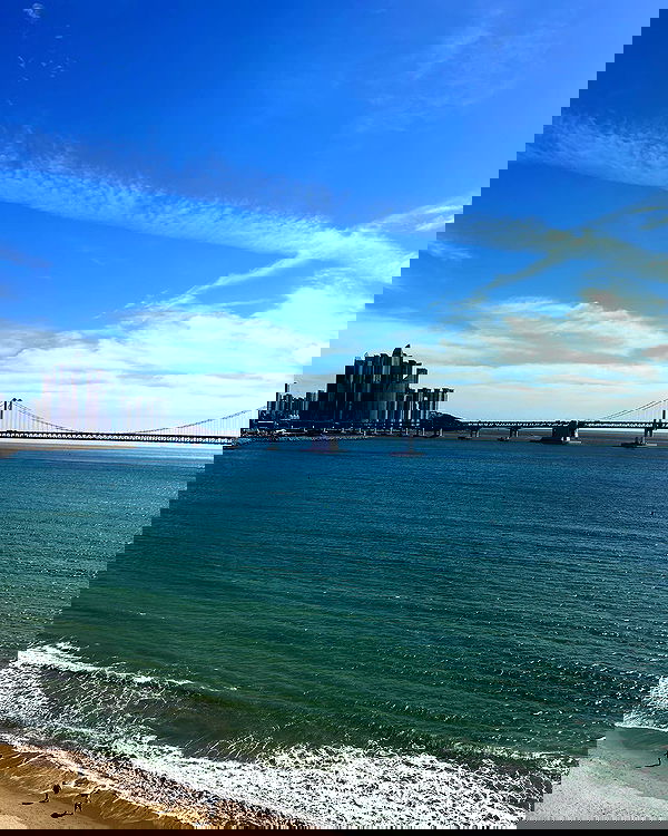 elsgatti image ~ Altpins