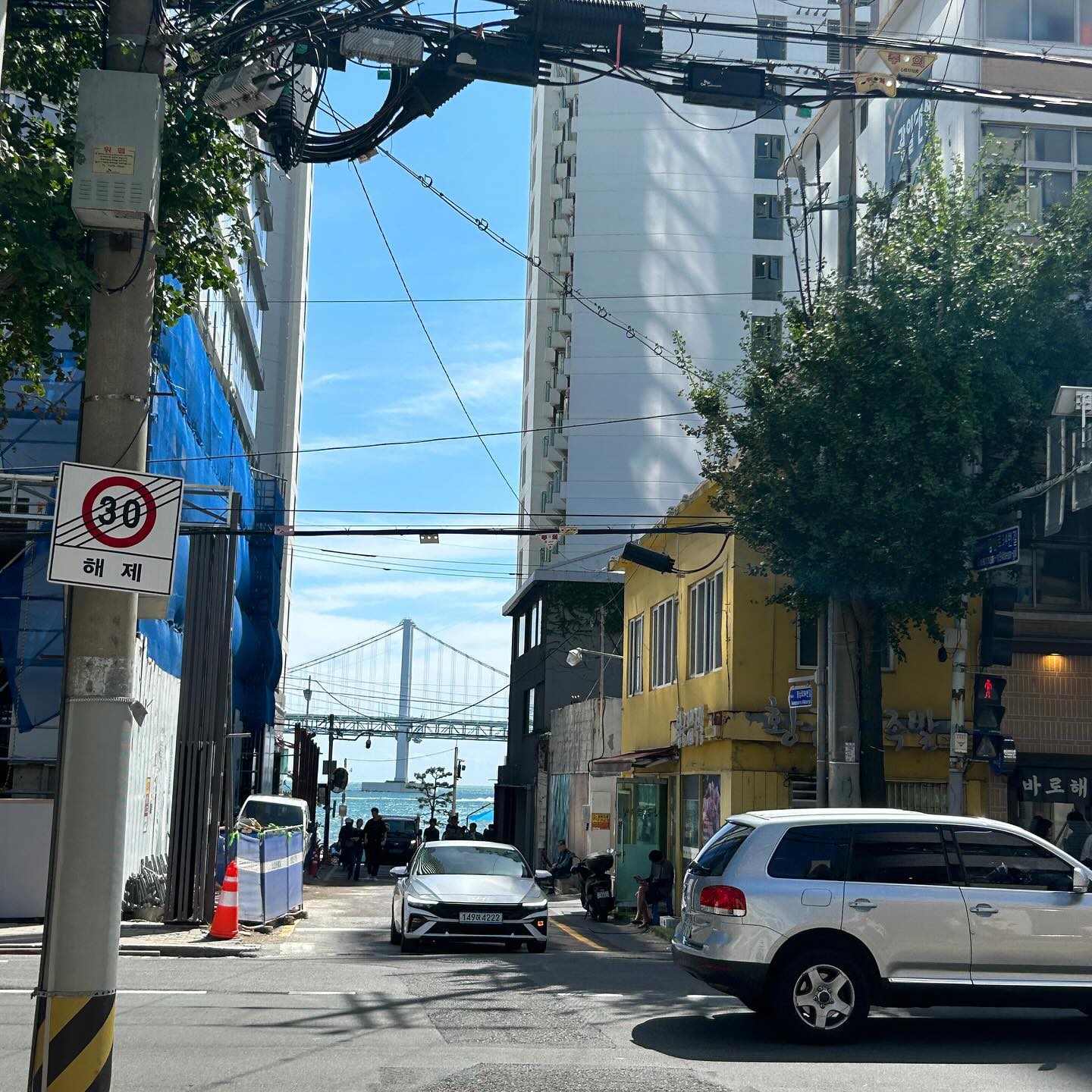 elsgatti instagram image archive image