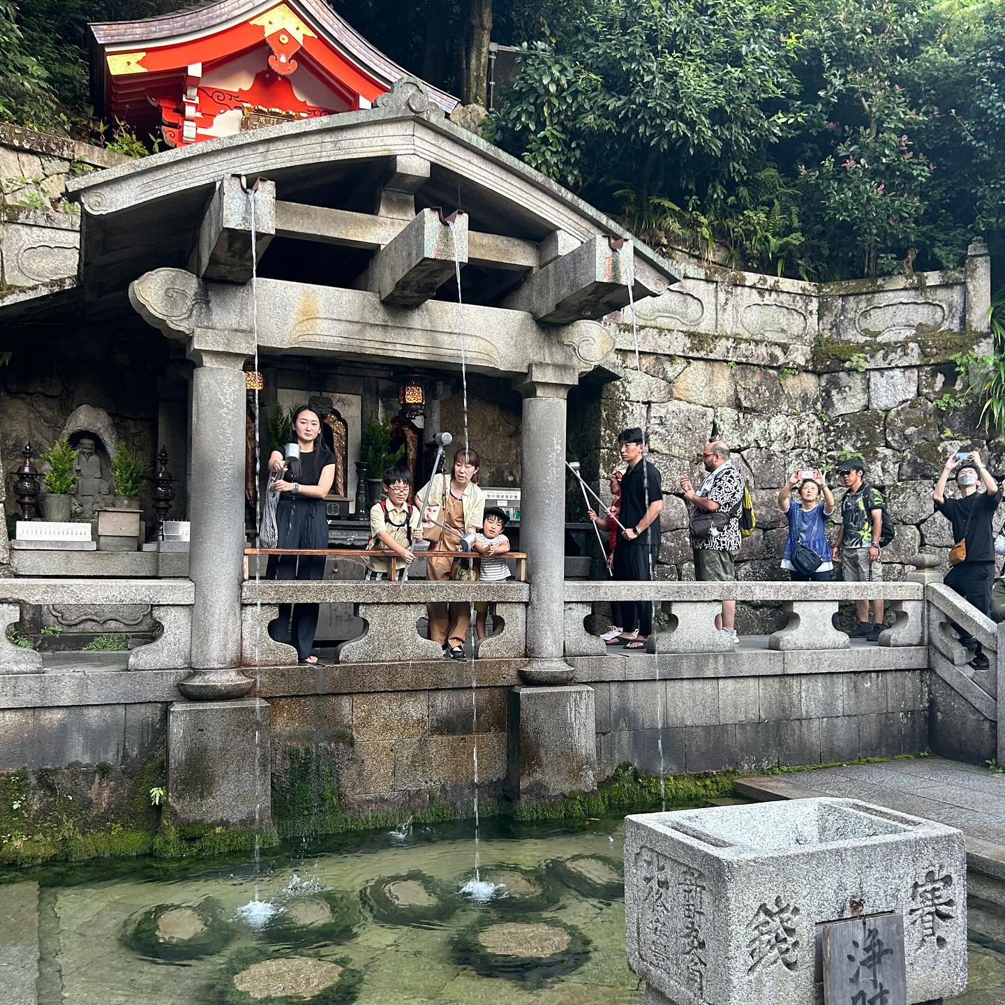 elsgatti instagram image archive image