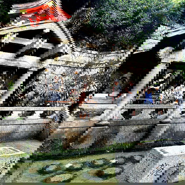 elsgatti image ~ Altpins