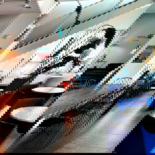 elsgatti image ~ Altpins